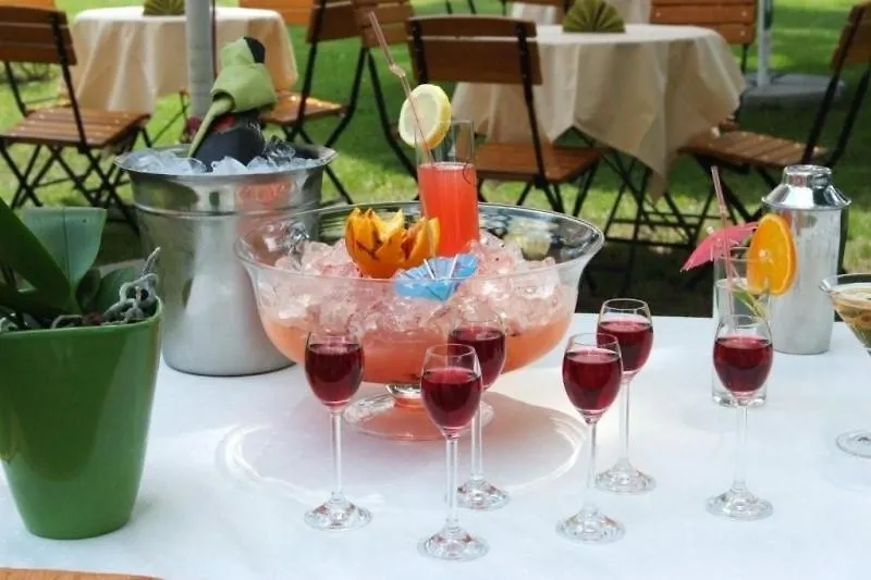 Hotel Vistula クラクフ ポーランド